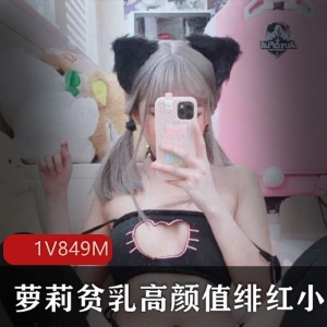 高颜值妹子在飞机场与绯红小猫的合集