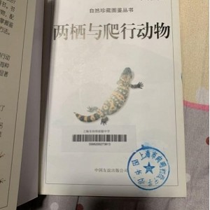 两栖与爬行动物的全世界60种动物，5本PDF