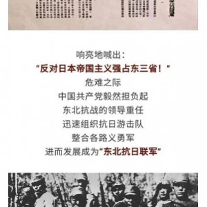 日本侵略中国的历史：从1931年到1937年的最后关头