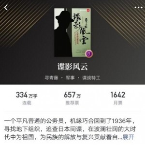 11个G的小说