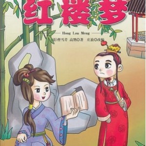 红楼梦漫画20卷